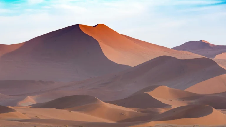 golden desert sand dunes minimal landscape with smooth curves and soft light wallpaper