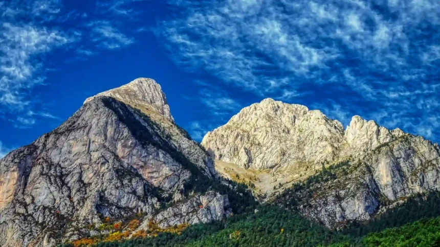 rocky mountain peaks with forest and blue sky landscape wallpaper