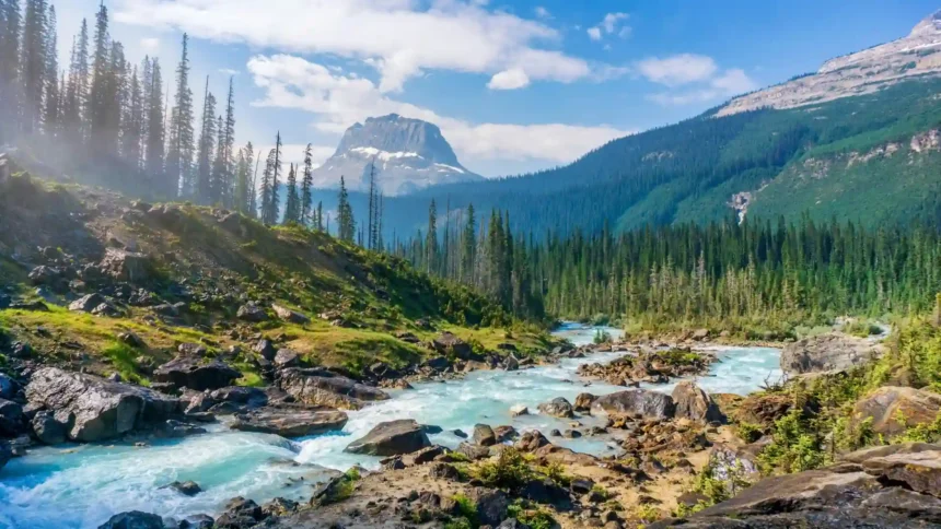 yoho national park river valley canada turquoise river mountain forest landscape scenic nature daylight uhd wallpaper