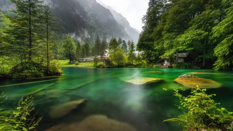Crystal-clear emerald alpine lake surrounded by lush forest and mountains in Switzerland wallpaper