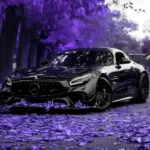 Black Mercedes Benz AMG GT parked on a road covered in purple autumn leaves wallpaper