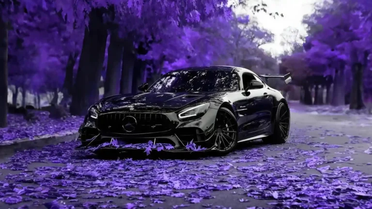 Black Mercedes Benz AMG GT parked on a road covered in purple autumn leaves wallpaper
