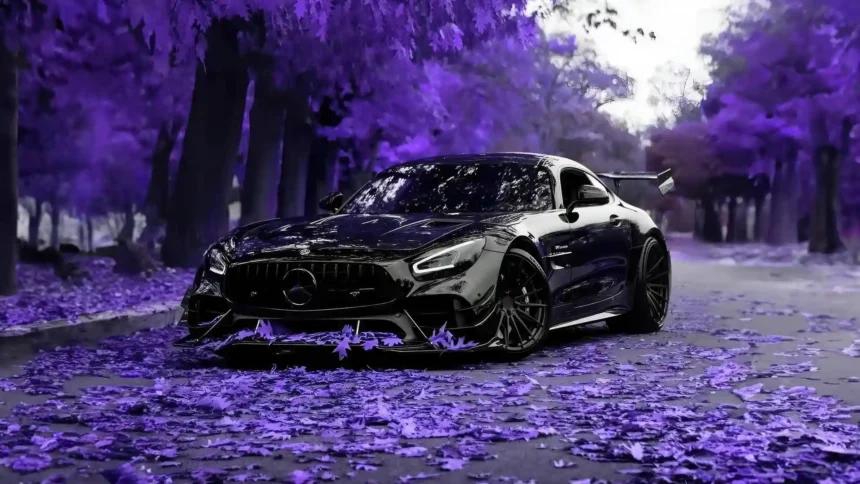 Black Mercedes Benz AMG GT parked on a road covered in purple autumn leaves wallpaper