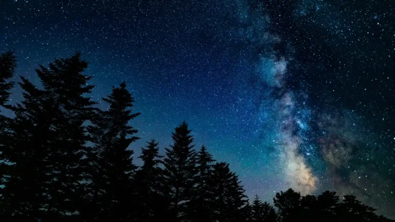 Milky Way galaxy shining above a dark forest under a star-filled night sky wallpaper