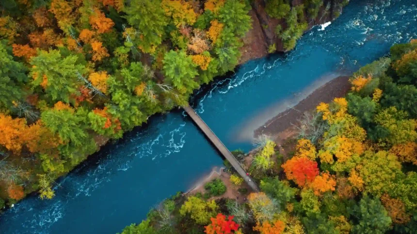 Aerial view of a blue river flowing through a colorful autumn forest with a wooden bridge UHD wallpaper