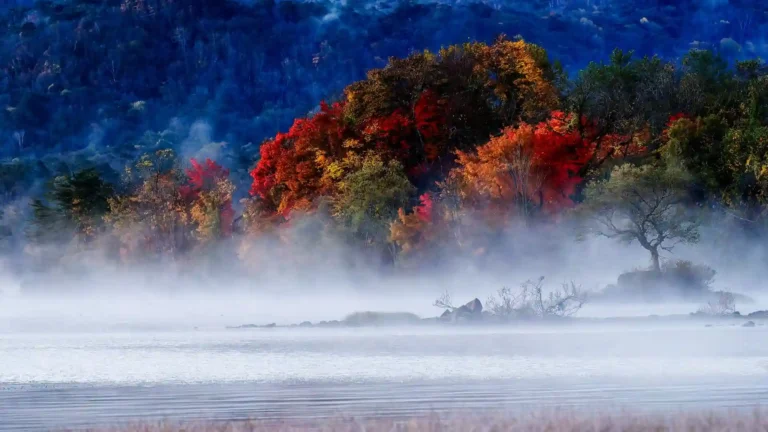 Lake Hibara in Fukushima Japan surrounded by colorful autumn trees and peaceful morning mist over the water wallpaper.